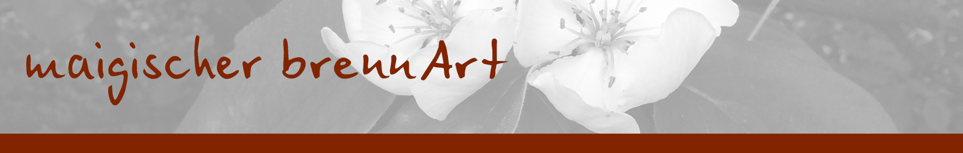 Logo maigischer-brennArt